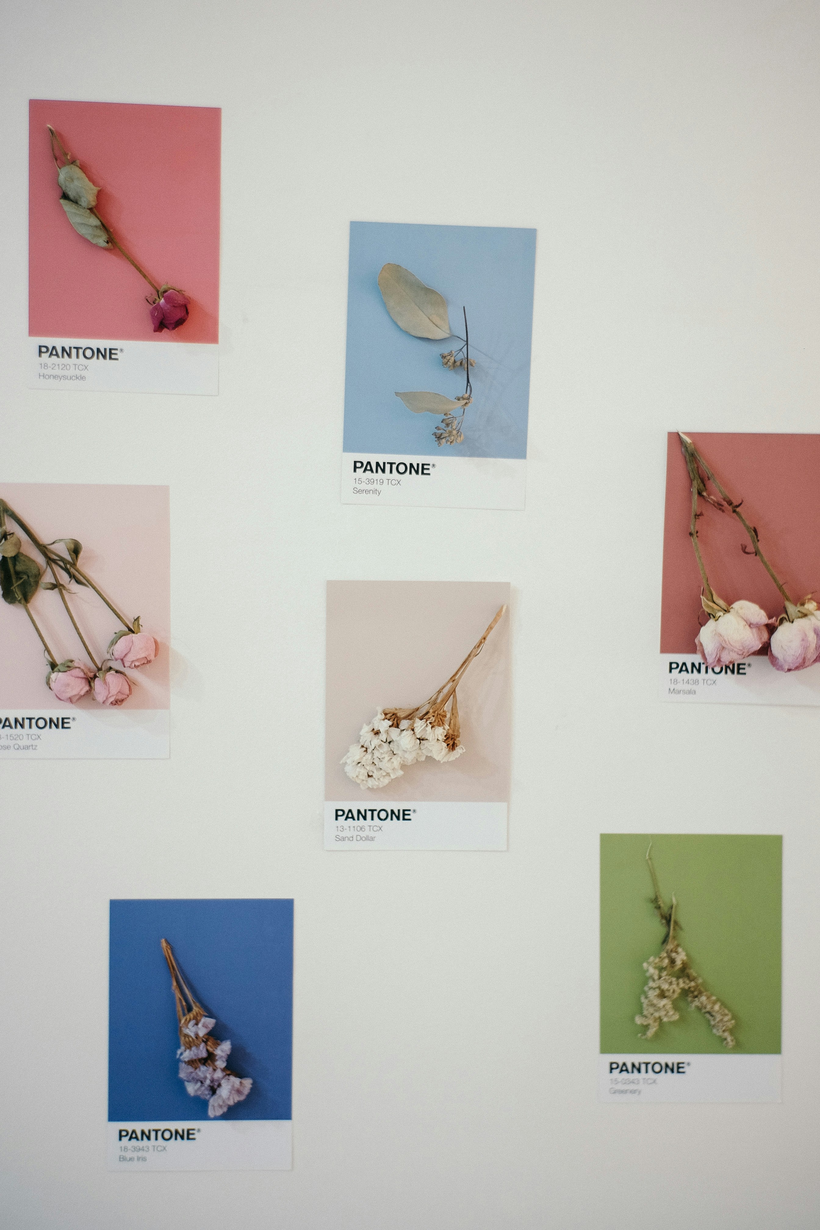 油漆顏色心理學